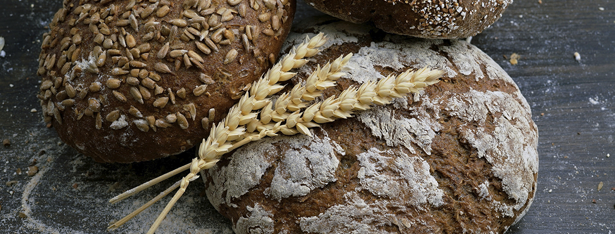 El horneado perfecto: 6 formas en las que el vacío mejora la producción de pan